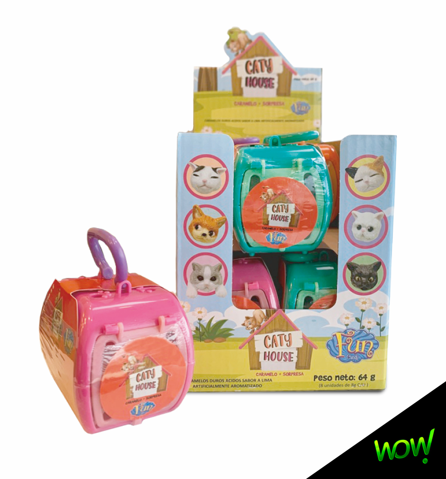 FUN POP CATY HOUSE (8)